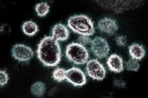 12 حالة وفاة و 39 إصابة جديدة بفيروس كورونا 