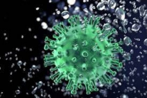 56 حالة إصابة جديدة بفيروس كورونا 