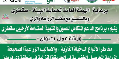 سقطرى ..جهود متواصلة لحماية البيئة وإحياء التراث الشعبي 