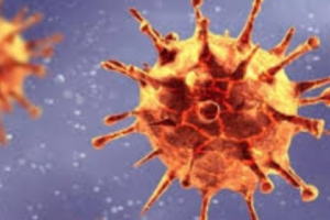 لجنة كورونا: 54 ضحية جديدة للفيروس الوبائي