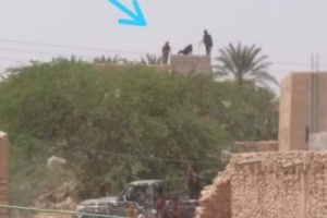 مليشيا الاخوان تعتقل نائب رئيس الانتقالي بميفعة وعدد من المواطنين