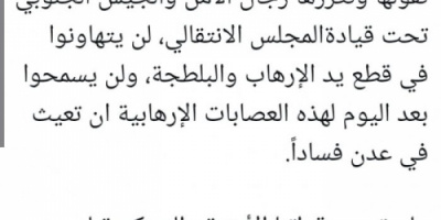 الربيزي: الانتقالي لن يسمح بوجود عصابات إرهابية في عدن