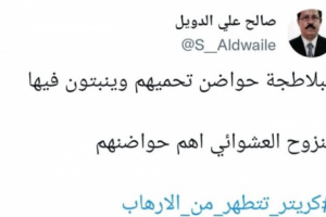 الدويل: بؤر النزوح حاضنة للعناصر الإجرامية في عدن