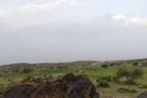 إصابة مواطن وزوجته واختطاف 3 آخرين في حملة حوثية على السوادية