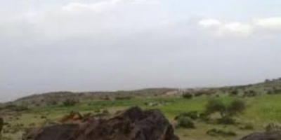 إصابة مواطن وزوجته واختطاف 3 آخرين في حملة حوثية على السوادية
