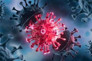 15 حالة وفاة و 37 حالة إصابة جديدة بفيروس كورونا 