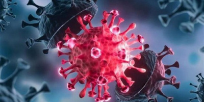 15 حالة وفاة و 37 حالة إصابة جديدة بفيروس كورونا 