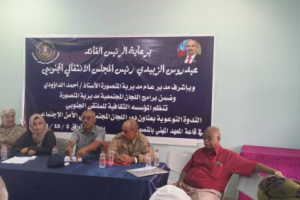 الثقافي الجنوبي ينظم ندوة توعوية عن دور اللجان المجتمعية في الأمن الاجتماعي بالمنصورة 