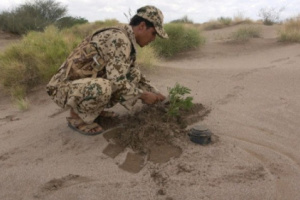 نزع عشرات الألغام التي زرعتها مليشيا الحوثي في حيس 
