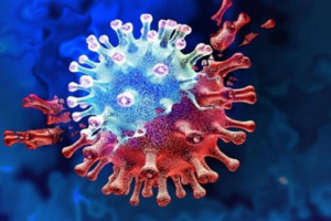 4 حالات وفاة و 33 حالة إصابة جديدة بفيروس كورونا 