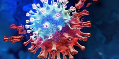 4 حالات وفاة و 33 حالة إصابة جديدة بفيروس كورونا 