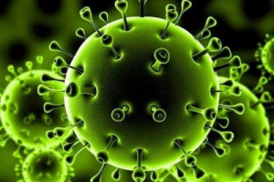4 حالات وفاة و 28 حالة إصابة جديدة بفيروس كورونا 