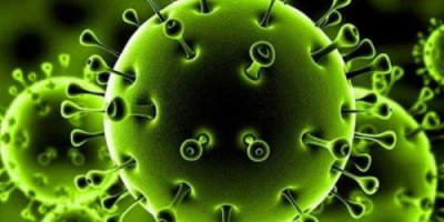 4 حالات وفاة و 28 حالة إصابة جديدة بفيروس كورونا 