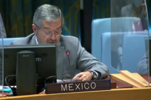 المكسيك تدعو إلى استئناف تطبيق اتفاق الرياض والالتزام بعملية السلام 