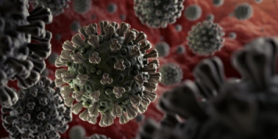 33 حالة إصابة جديدة بفيروس كورونا 