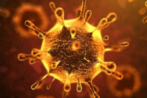 10 حالات وفاة و 39 إصابة جديدة بفيروس كورونا 