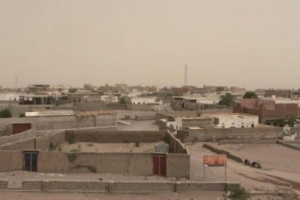 مليشيا الحوثي تهاجم مزارع المواطنين في التحيتا 