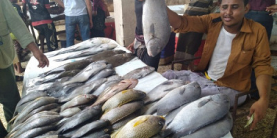 تعرف على أسعار الأسماك اليوم في العاصمة عدن 