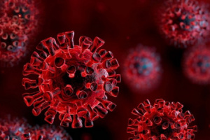 4 حالات وفاة و 7 إصابة جديدة بفيروس كورونا 