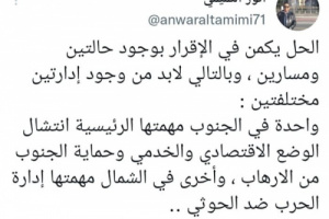 التميمي: الجنوب والشمال مساران يتطلبان إدارتين مختلفتين 