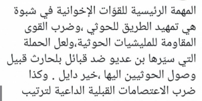 التميمي: هذه مهمة مليشيا الشرعية في شبوة