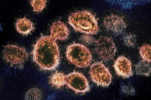 6 حالات وفاة و 8 إصابات جديدة بفيروس كورونا 