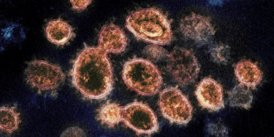 6 حالات وفاة و 8 إصابات جديدة بفيروس كورونا 