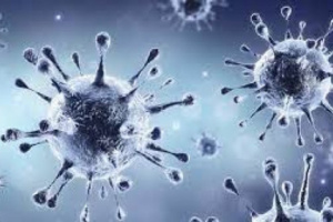 حالة وفاة و12 إصابة جديدة بفيروس كورونا 