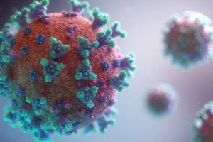 وفاة و 9 حالات مصابة بفيروس كورونا 