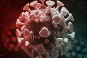 6 وفيات و7 إصابات جديدة بفيروس كورونا 