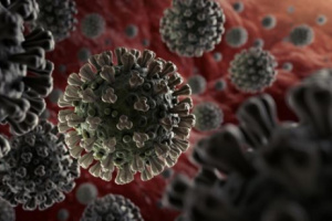 دون وفيات.. 4 إصابات جديدة بفيروس كورونا 