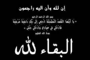 قيادة اللواء الثاني صاعقة تعزي في استشهاد كوكبة من ابطال مديرية الازارق