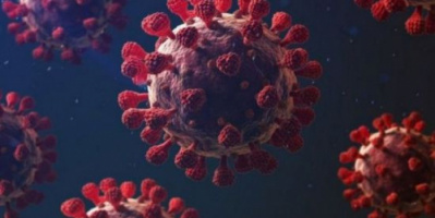 دون وفيات.. 7 حالات إصابة جديدة بفيروس كورونا