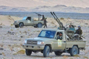 العمالقة الجنوبية تحرز انتصارات جديدة وتسيطر على ملعاء 