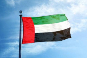 الاتحاد : التضامن الدولي مع الإمارات ضد الحوثي يعكس مكانتها 