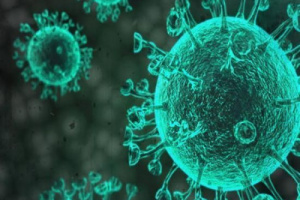 44 إصابة جديدة وشفاء 22 حالة من فيروس كورونا 