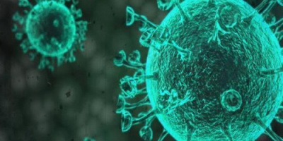 44 إصابة جديدة وشفاء 22 حالة من فيروس كورونا 
