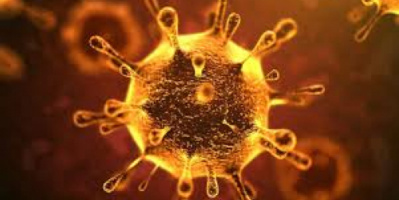 6 وفيات و5 إصابات جديدة بفيروس كورونا