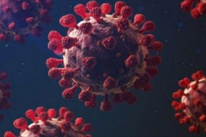 8 حالات إصابة جديدة بفيروس كورونا 