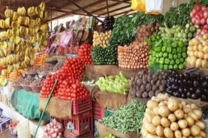 أسعار الخضروات والفواكه بأسواق العاصمة عدن اليوم الأربعاء