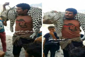 بطريقة غير متوقعة.. اصطياد نمر عربي من فصيل نادر بلحج