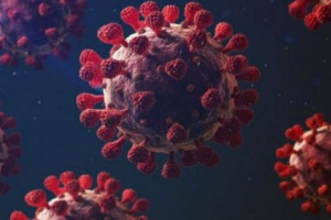27 حالة شفاء من فيروس كورونا في لحج