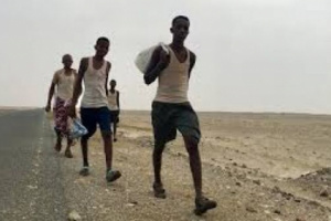 إجلاء 300 مهاجر إثيوبي طواعية من اليمن