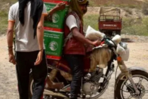 أبين: سلمان للإغاثة يوزع 263 سلة غذائية في لودر