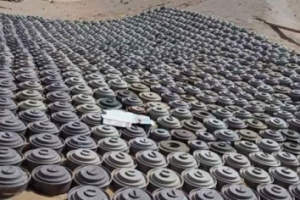 مسام تفكك 960 لغم حوثي وذخيرة حية خلال أسبوع