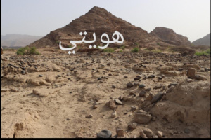 هويتي تنفذ أول نزول لها إلى محافظة أبين
