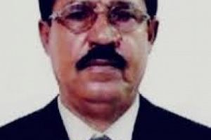 الدويل يعلق على دعوات الإخوان لتشكيل مجلس إنقاذ 