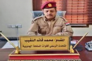 متحدث القوات الجنوبية يؤكد القضاء على جميع منفذي هجوم أحور الإهاربي