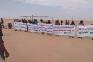 شبوة.. وقفة سلمية ترفع مطالب للرئيس الزُبيدي