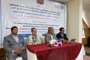 فاو تنظم ورشة للتعريف بمبيدات الجراد الصحراوي